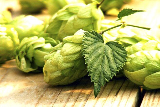 hops of hops to increase the size of the breast